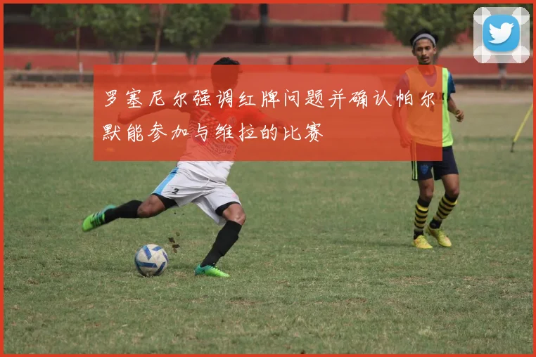 罗塞尼尔强调红牌问题并确认帕尔默能参加与维拉的比赛