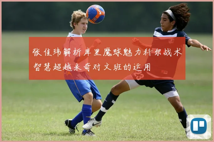 张佳玮解析库里魔球魅力科尔战术智慧超越米奇对文班的运用