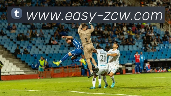 数据防护可视化